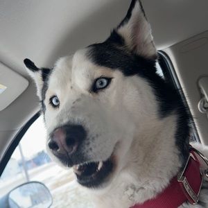 Meet your Posher, Michael